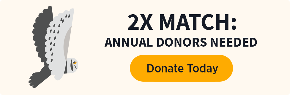 2x Match: Annual Donors Needed [Donate Today]