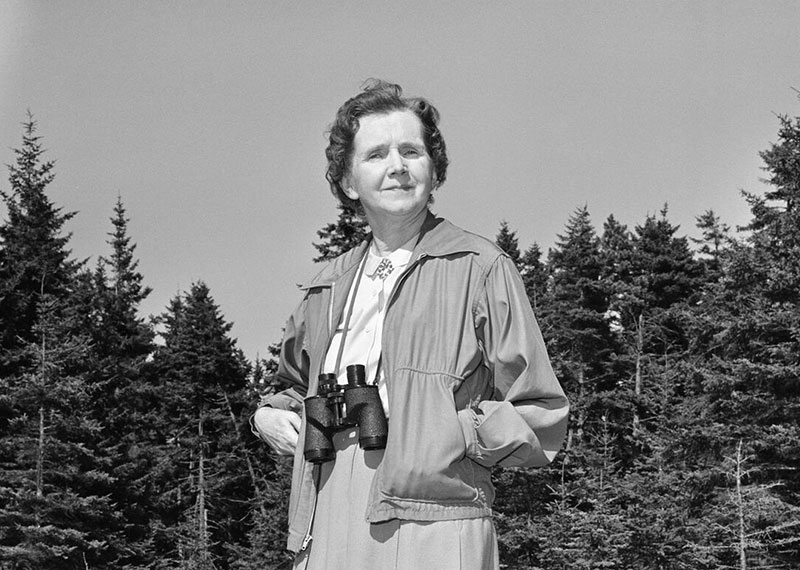 Rachel Carson.