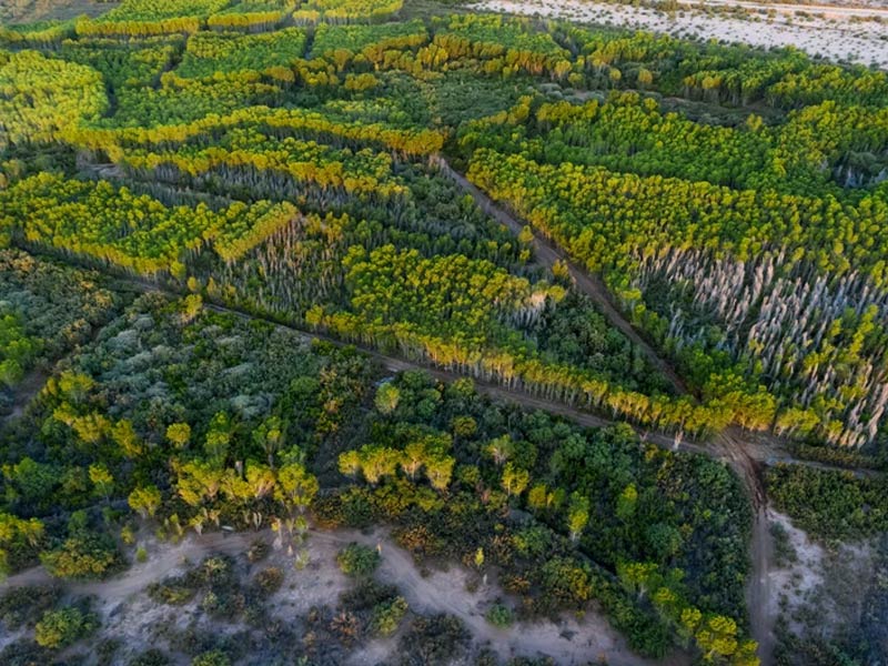 An aerial photo of the Colorado River delta.