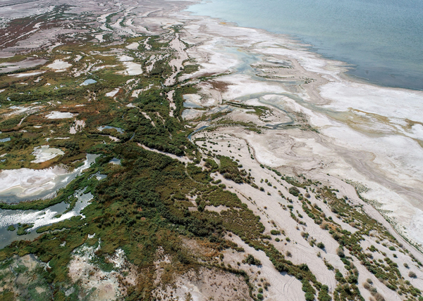 A conservation projects aims to at least double 250 acres of burgeoning wetlands near Bombay Beach by further spreading water out on the dry playa, providing habitat for birds and health benefits for nearby communities.