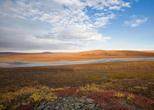 Arctic National Wildlife Refuge.