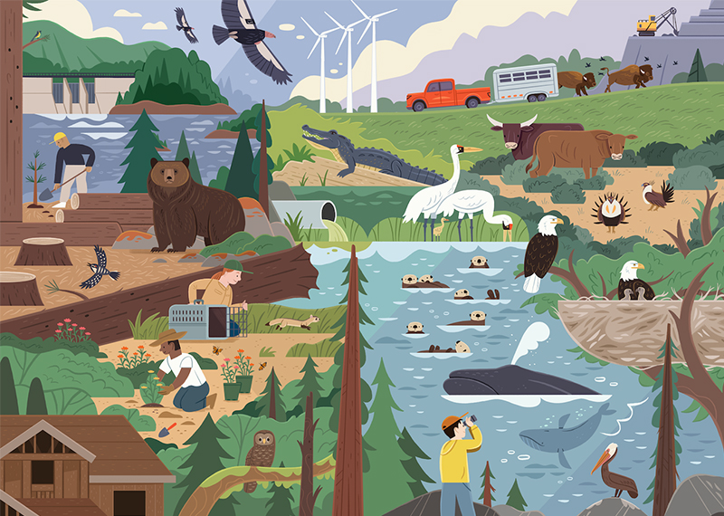 An illustration of sprawling nature and wildlife.