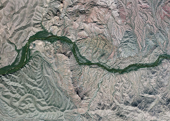 Riparian habitat along the Gila River.
