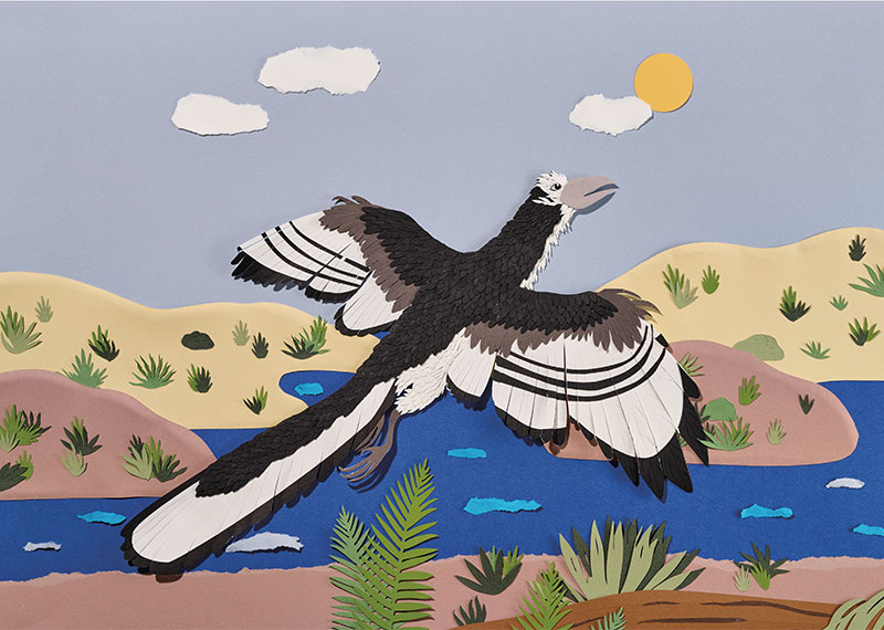 Archaeopteryx as interpreted by artist Andrea Cira, who creates her designs through intricate layers of hand-cut paper.