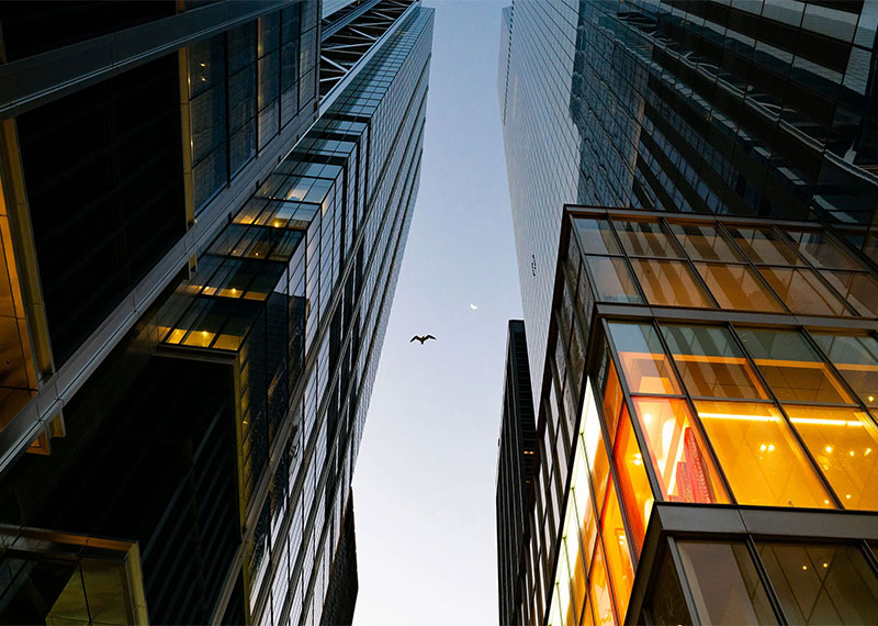 Dawn in lower Manhattan brings with it higher risk for many birds during migration season.