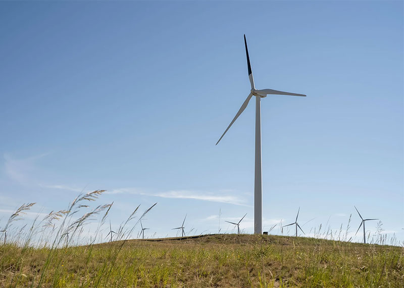 Contrast painting could help birds and bats notice wind turbines in time to avoid them.