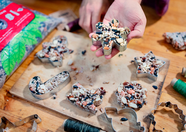 DIY birdseed ornaments.