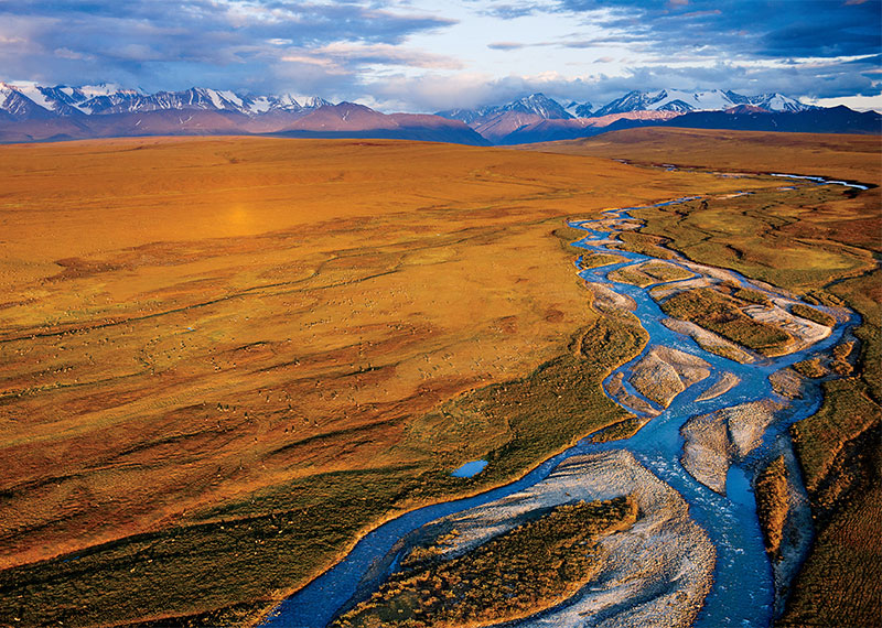 The Arctic National Wildlife Refuge’s coastal plain hosts caribou, birds, and other wildlife.