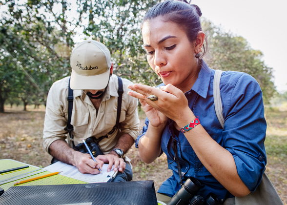 Nahbi Romero Rodriguez (left) and Maira Holguin tag a Blackpoll Warbler in Colombia in March 2020. 