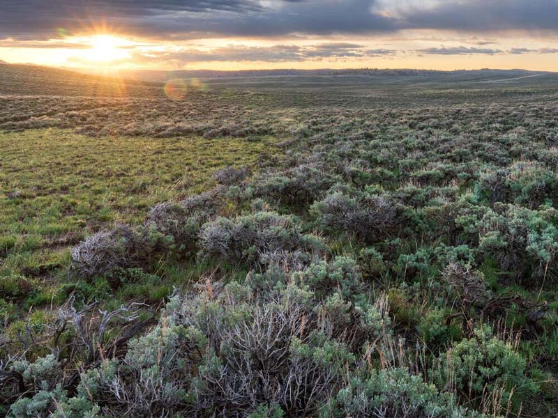 Photo of Western Wyoming's Golden Triangle.