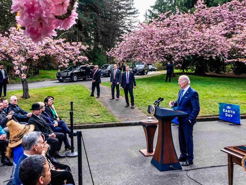 President Biden stands at a podium in front of a seated crowd surrounded by pink blossoming trees.