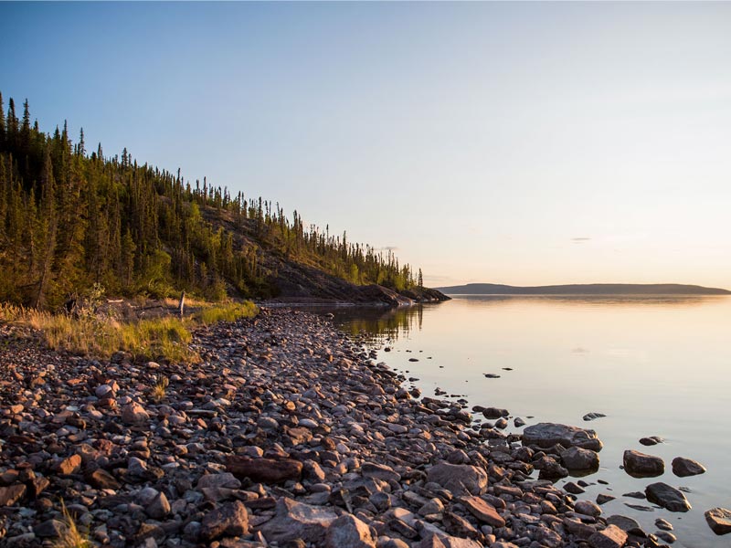 A rocky shoreline with trees in the background. Thaidene Nëné National Park Reserve in northern Canada.