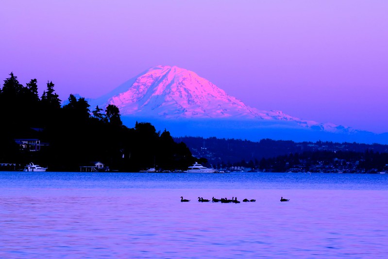 Sunset at Seward Park Aurora Santiago.jpg