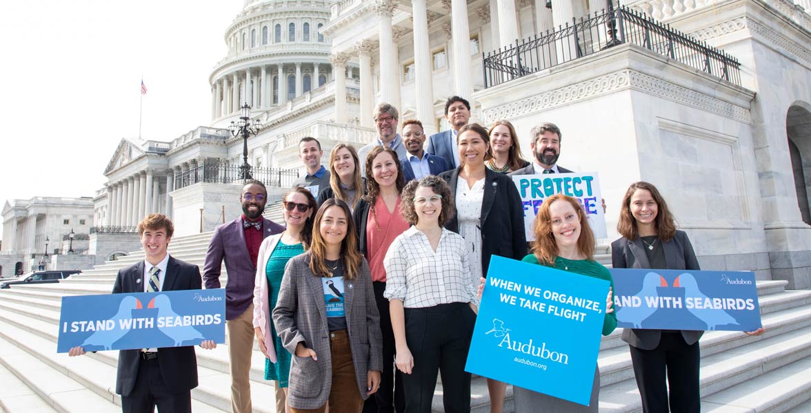 Audubon policy staff on the steps of the United States Capitol building during the Save the Seabirds Fly In.