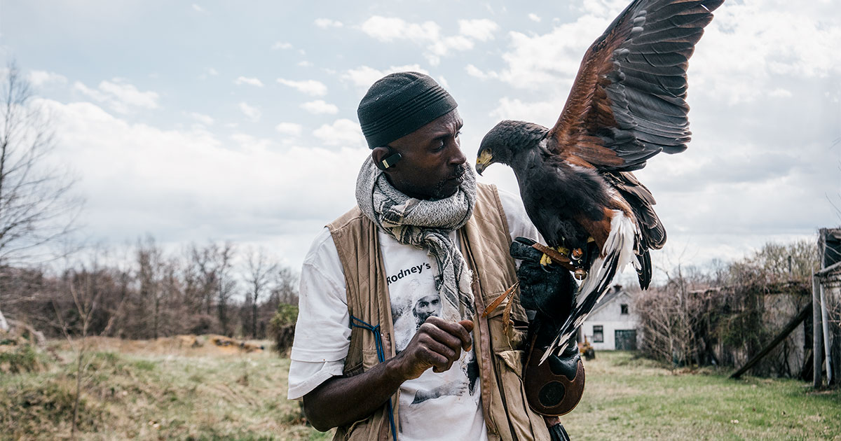 Rodney Stotts with Agnes, a Harris's Hawk, at the Wings Over America raptor sanctuary in Maryland.