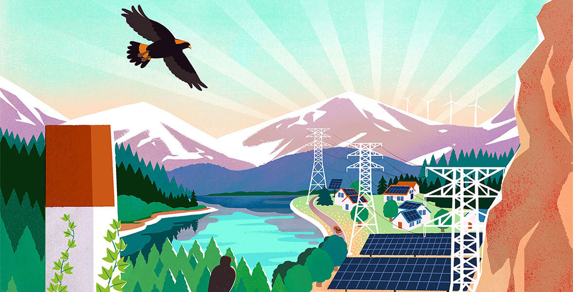 An illustration of birds nesting in a pristine landscape next to a town with solar panels and wind turbines.