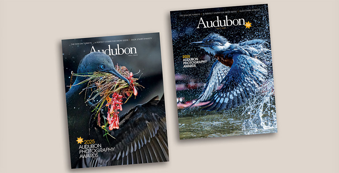 Fall 2025 <i>Audubon</i> magazine.