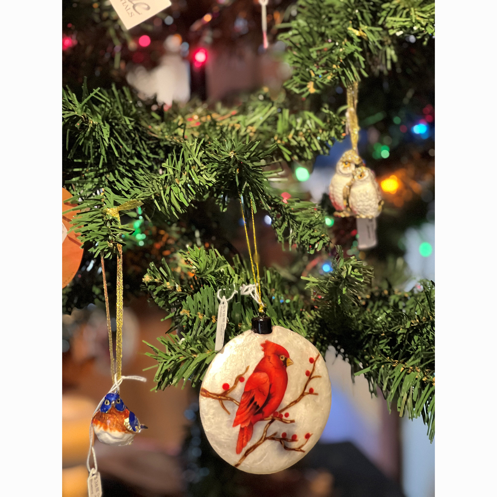 Photo of a holiday ornament with a Northern Cardinal. 