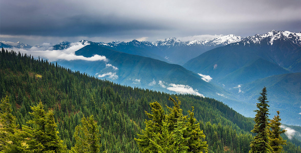 Olympic National Park. 