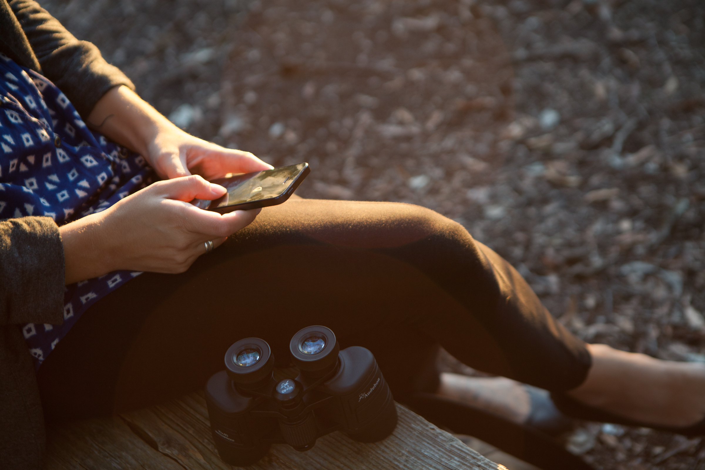 Explore birds virtually with Audubon at Home! Photo: Camilla Cerea