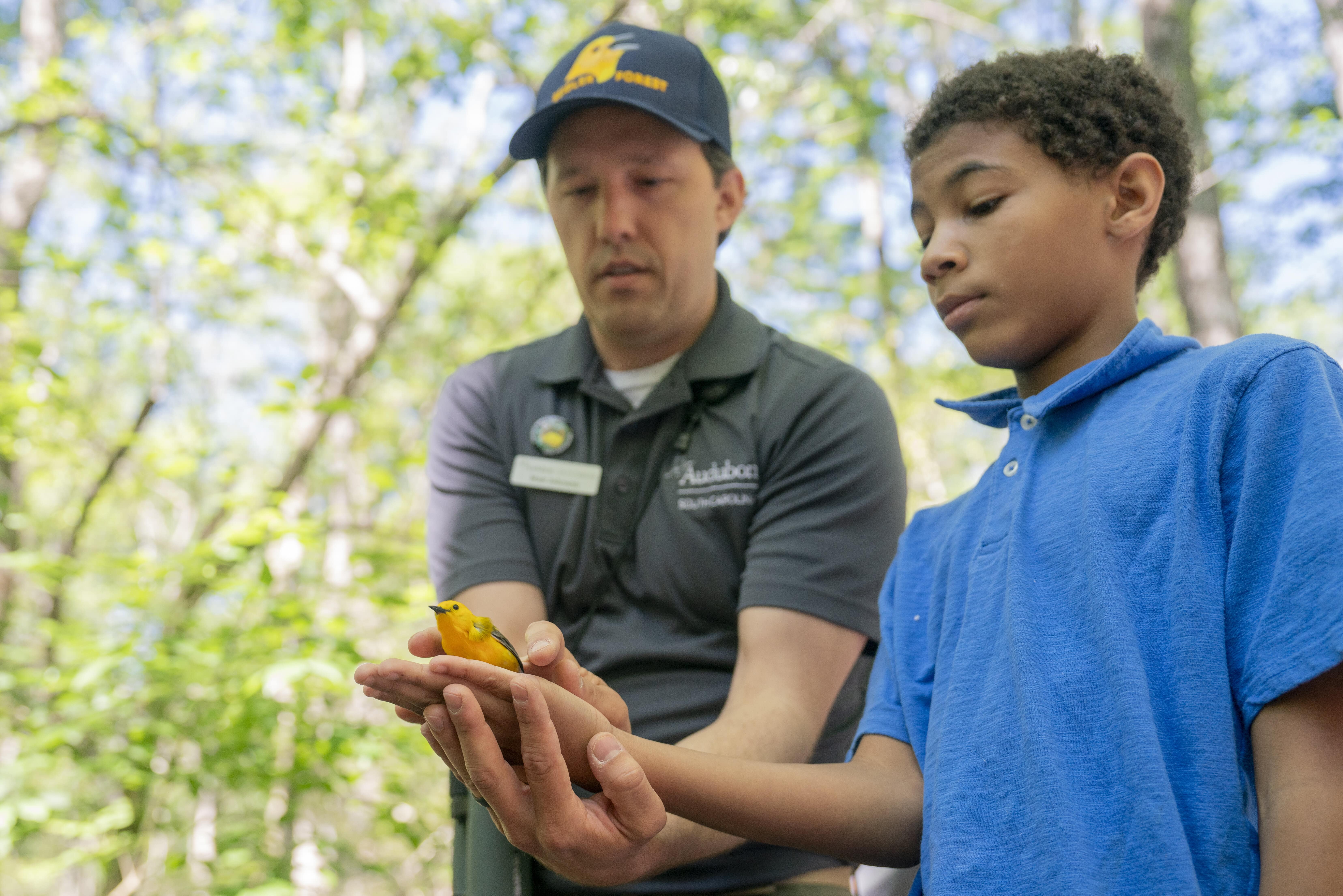 A boy with a blue shirt is holding a small yellow bird about to be released into the wild. 