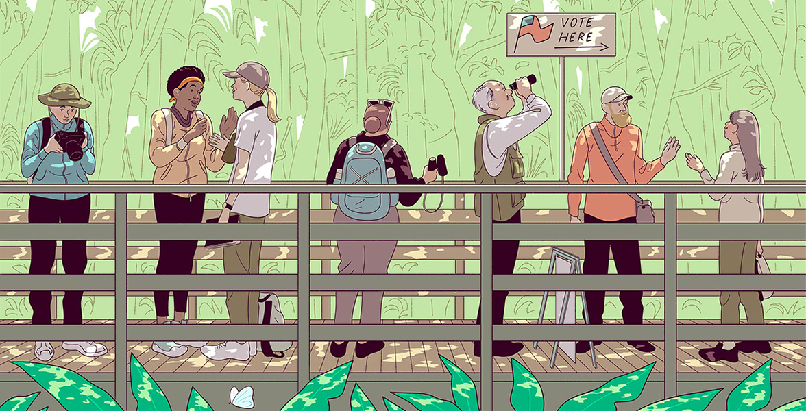 An illustration of various birders on a boardwalk surrounded by trees.