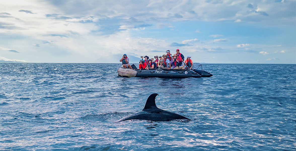 Galápagos Islands.