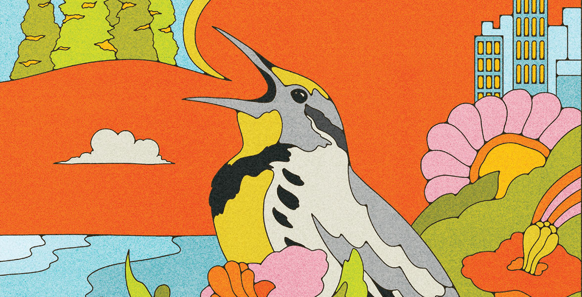 Tune in to Birds postcard featuring a singing Western Meadowlark.