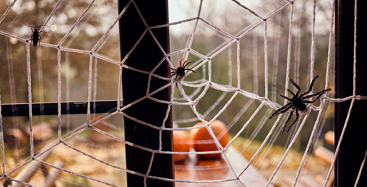 A spider web Halloween decoration.