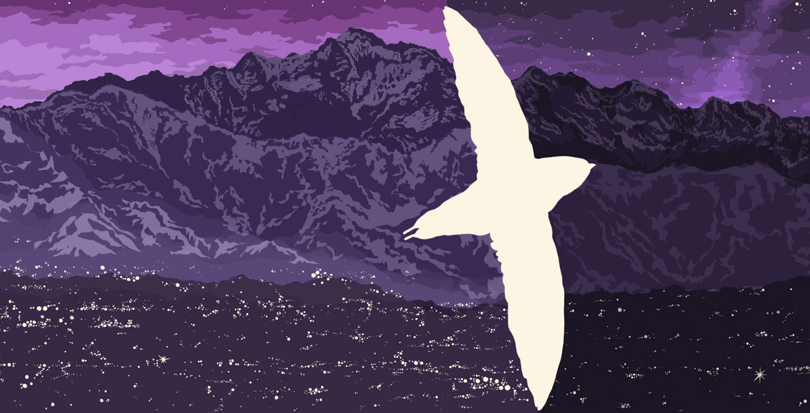 An illustration of a bird flying between brightly and dimly lit cities.