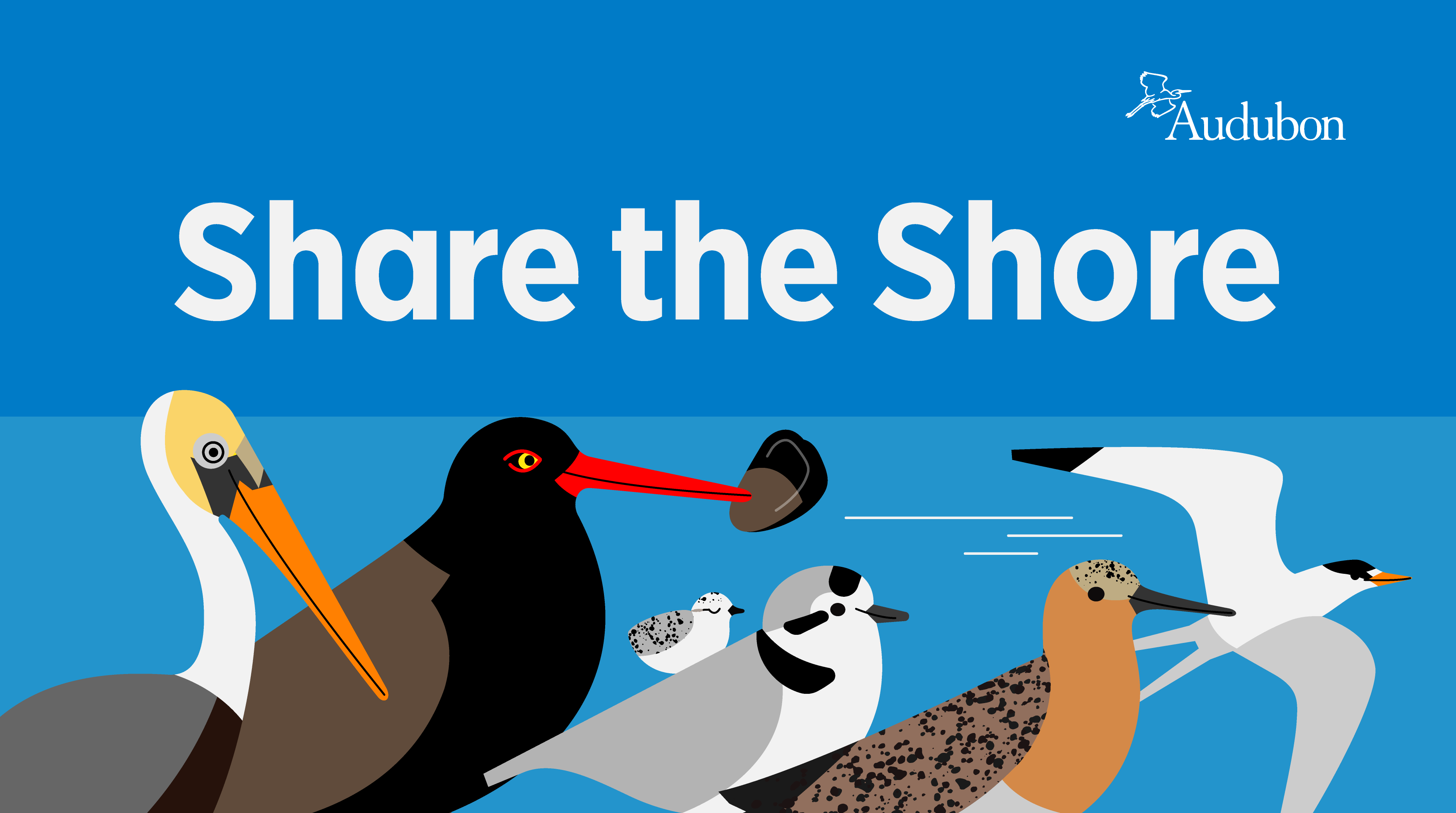 Share the Shore graphic