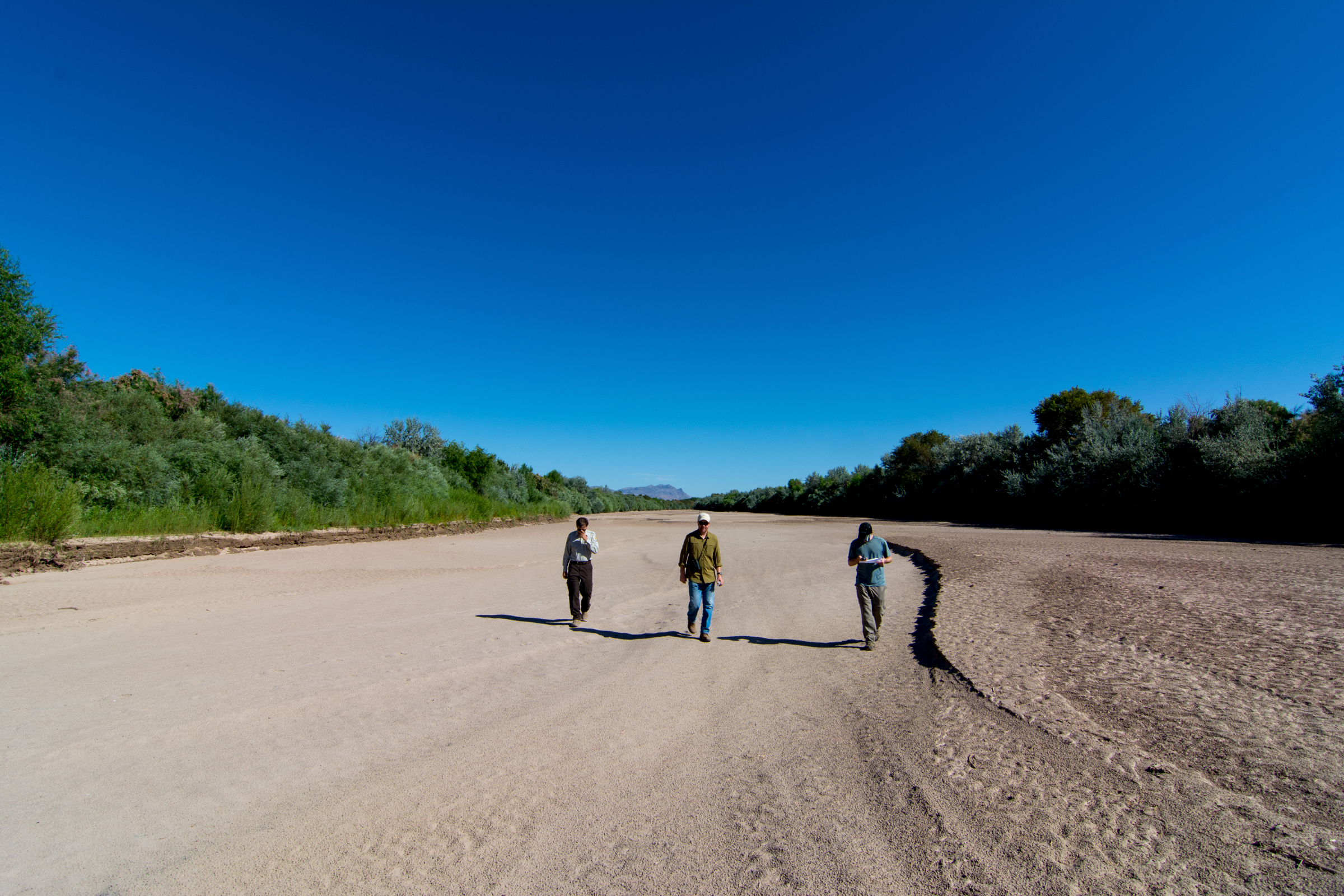 Agency scientists visiting Rio Grande at Bosque del Apache National Wildlife Refuge, which dries almost every year