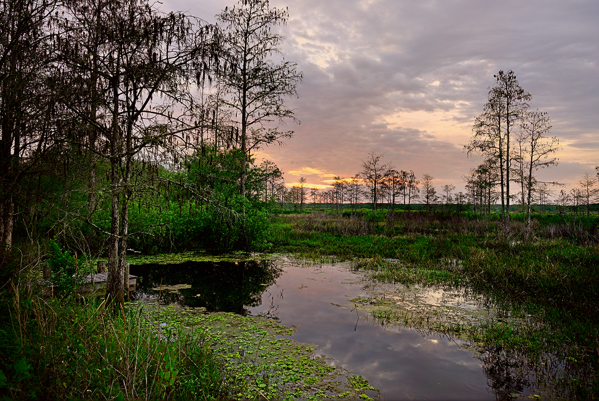 Sunset view of a wetland.