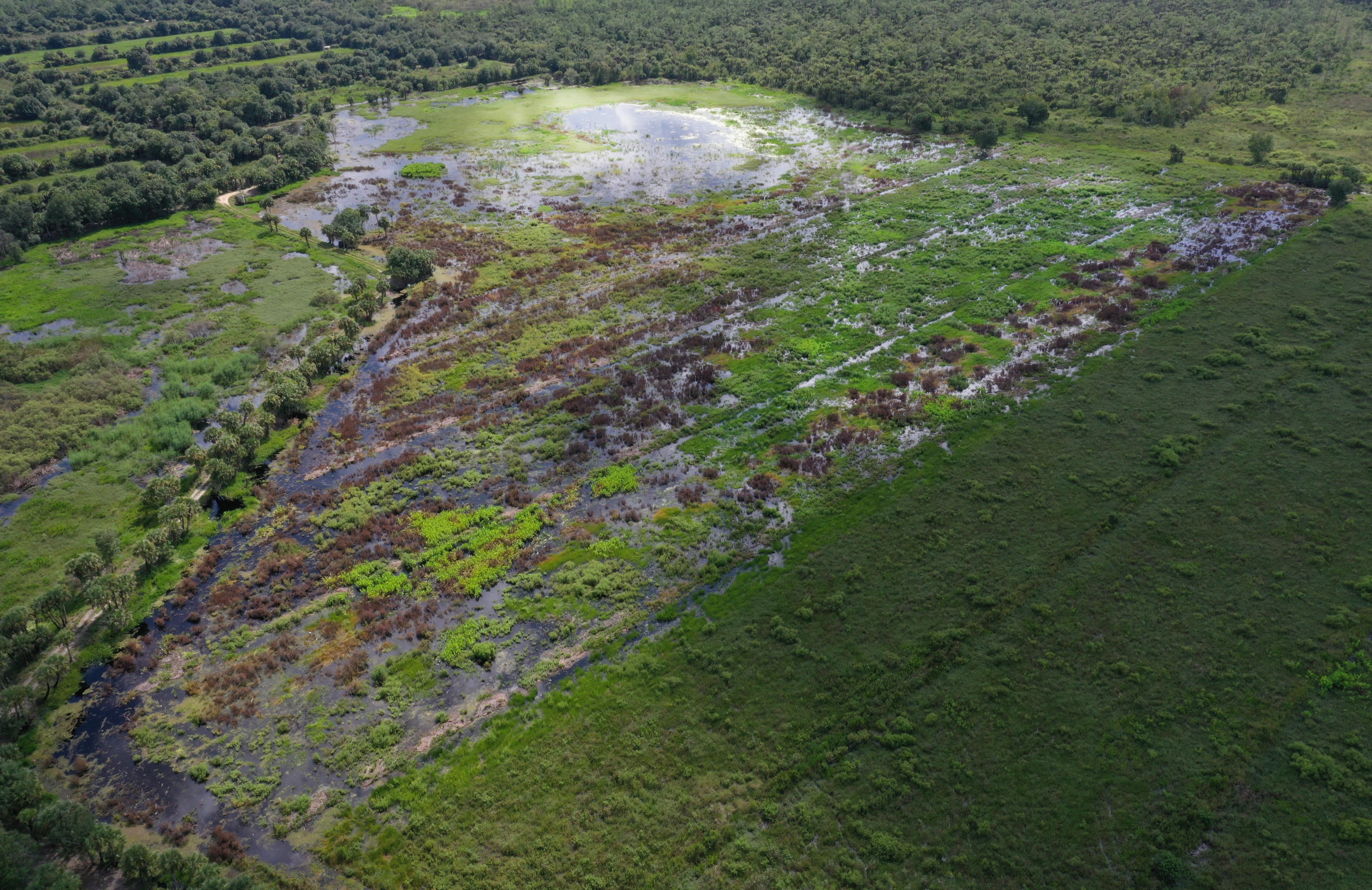 Aerial view of restoration area.