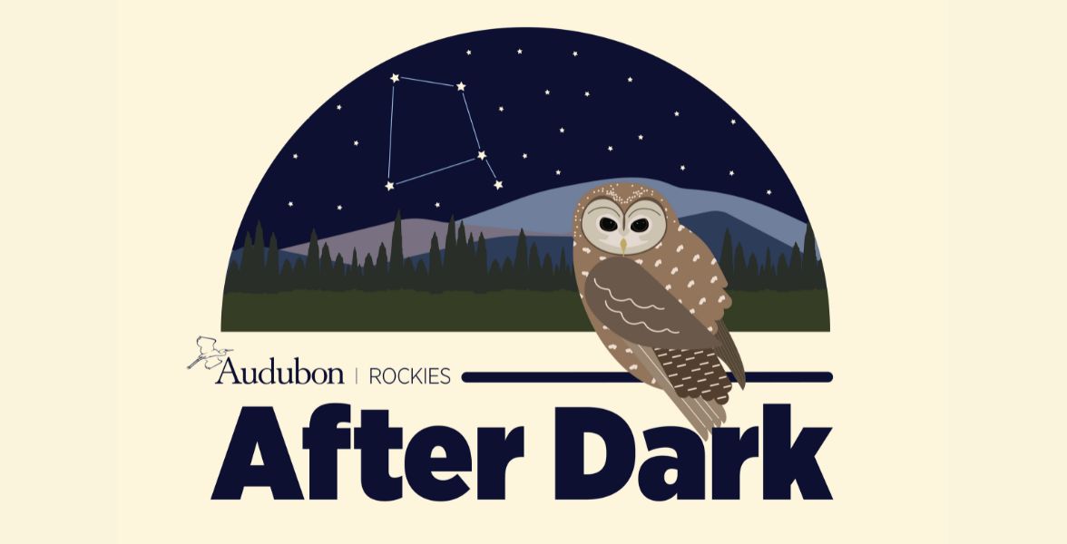 An illustration of a Mexican Spotted Owl in front of a starry sky. The words &ldquo;Audubon Rockies After Dark&rdquo; are below the illustration.