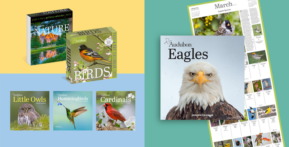 2026 Audubon calendars.