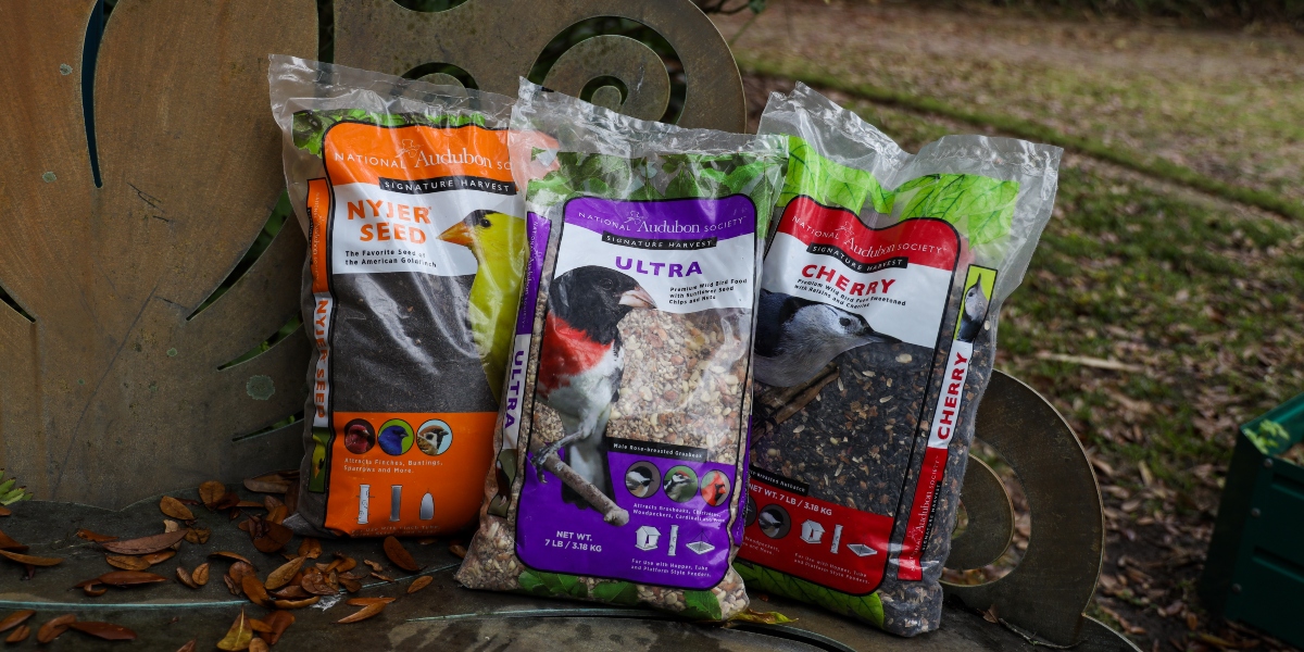 Three bags of Audubon birdseed on a bench.