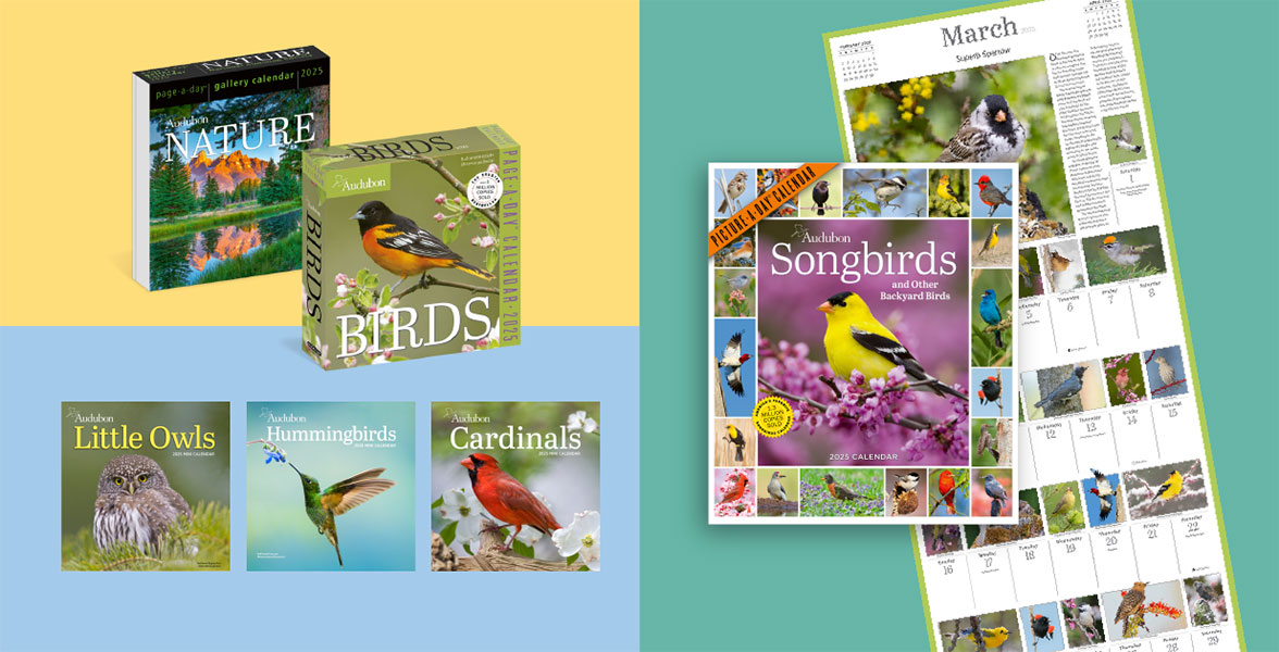 Collage of Audubon 2025 calendars.