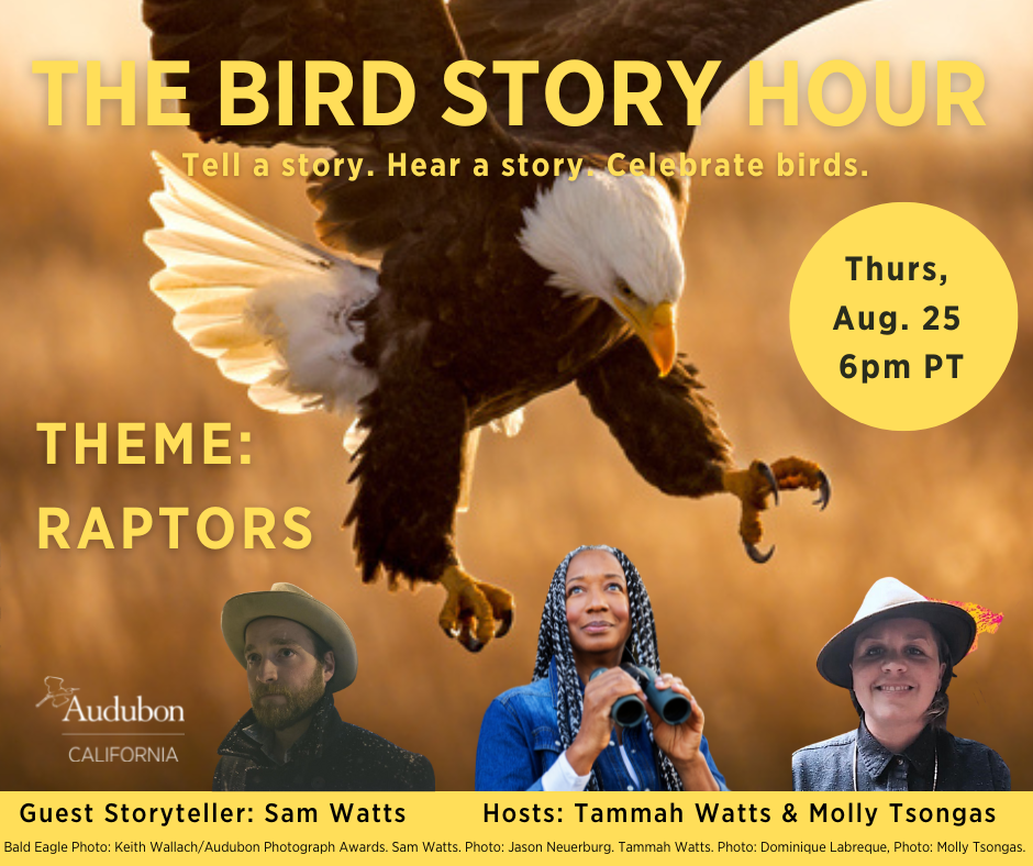 Bird Story Hour