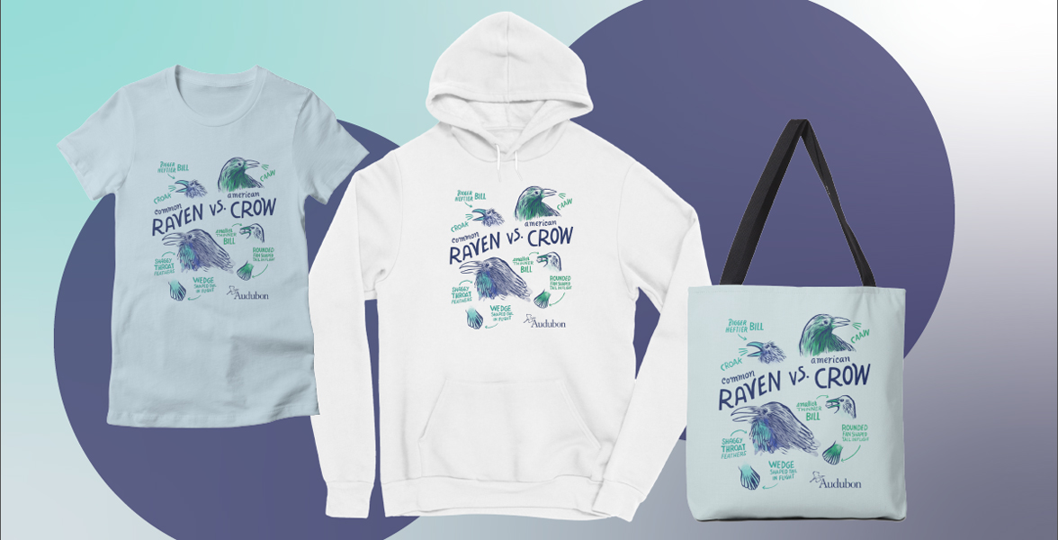 A shirt, hoodie, and tote from the Raven vs Crow collection.