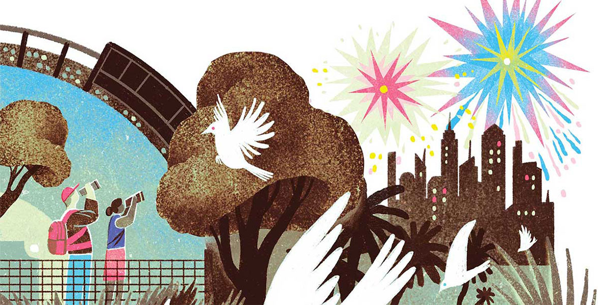 An illustration of people birding during a fireworks show, in the background.