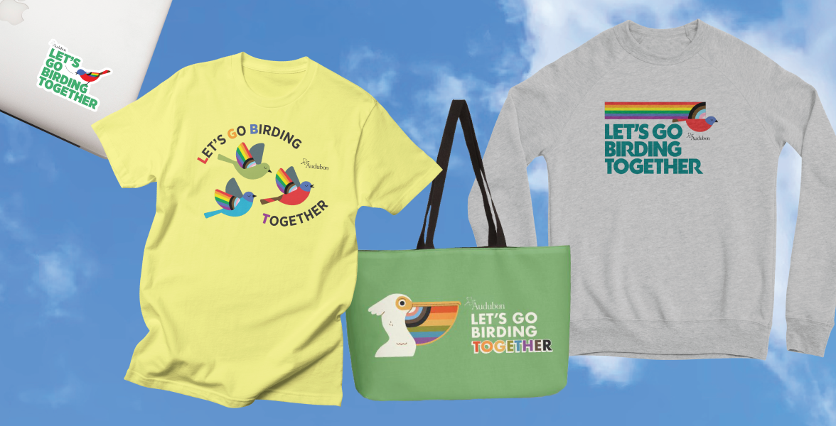 Let's Go Birding Together sticker, t-shirt, tote, and long-sleeve shirt.