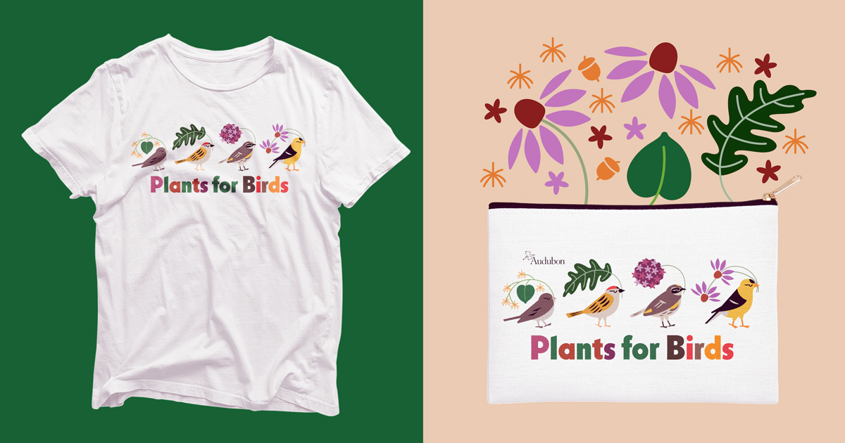 Plants for Birds retail collection.