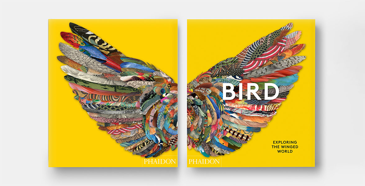 Front and back cover for "BIRD: Exploring the Winged World"