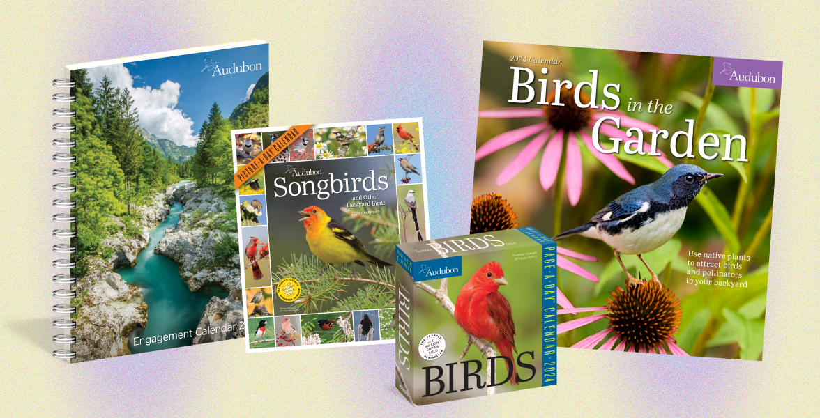 SF Bayflower Audubon 2024 calendars are here!