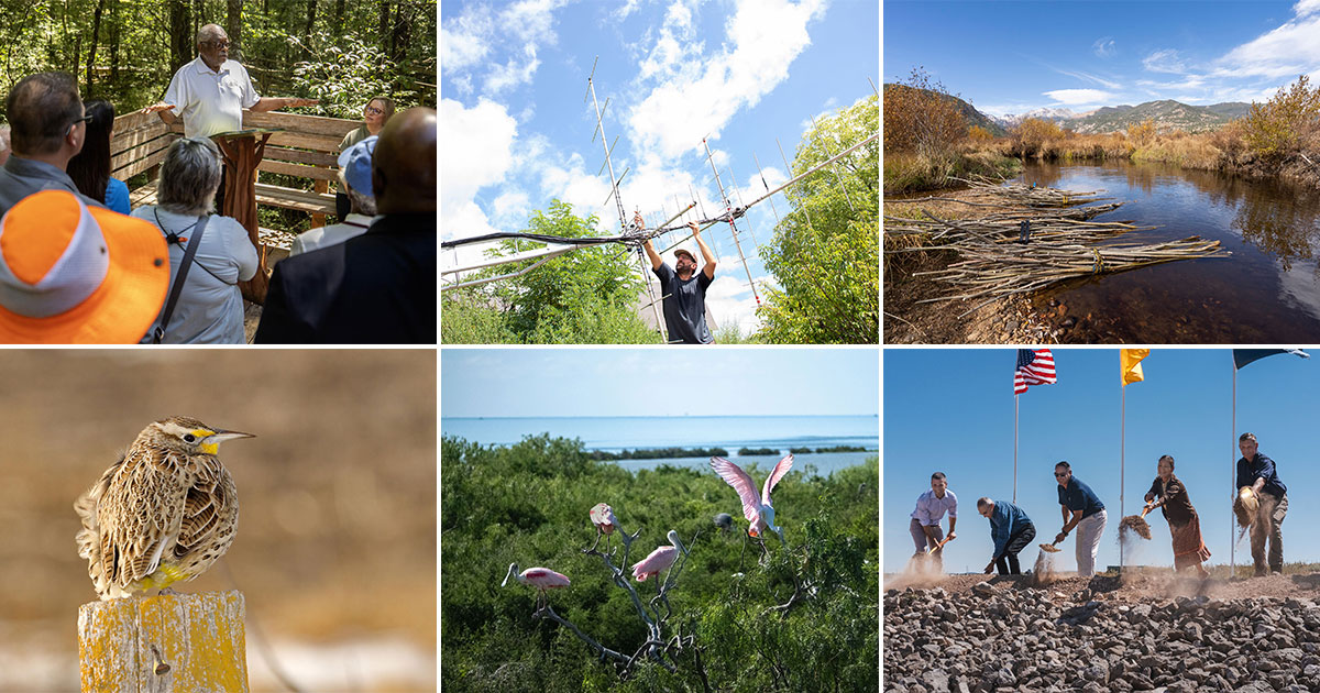 Photos clockwise from top left: Gavin McIntyre; Luke Franke/Audubon; Evan Barrientos/Audubon Rockies; Mike Fernandez/Audubon; Mike Fernandez/Audubon; Jonathan Nikkila/Audubon Photography Awards