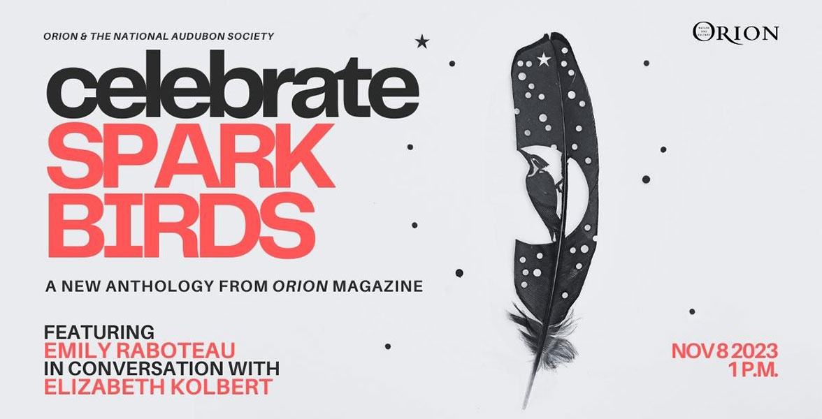 A flyer reading "Celebrate SPARK BIRDS." There is subtext below the headline reading "A New Anthology from Orion Magazine." Below that it reads "Featuring Emily Raboteau in conversation with Eliabeth Kolbert." To the left of the text is a silhouette of a Pileated Woodpecker in a feather. Next to that is text reading "Nov 8 2023, 1 P.M."