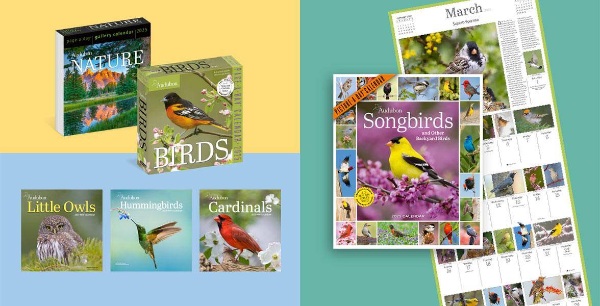 2026 Audubon calendars.