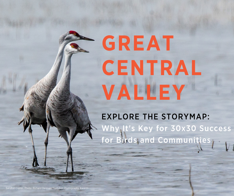 Storymap