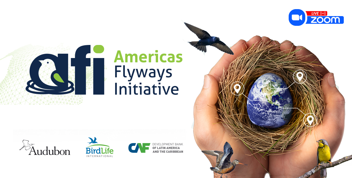 The Americas Flyways Initiative logo is positioned center left. Below it are the logos for National Audubon Society, BirdLife International, and CAF. To the right of that is the globe in someone's palms surrounded by various birds.